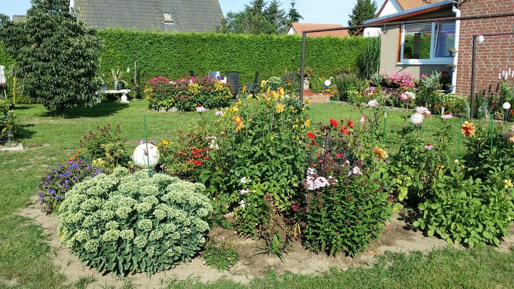 Ferienhaus Storchenweg Mahlzow エクステリア 写真
