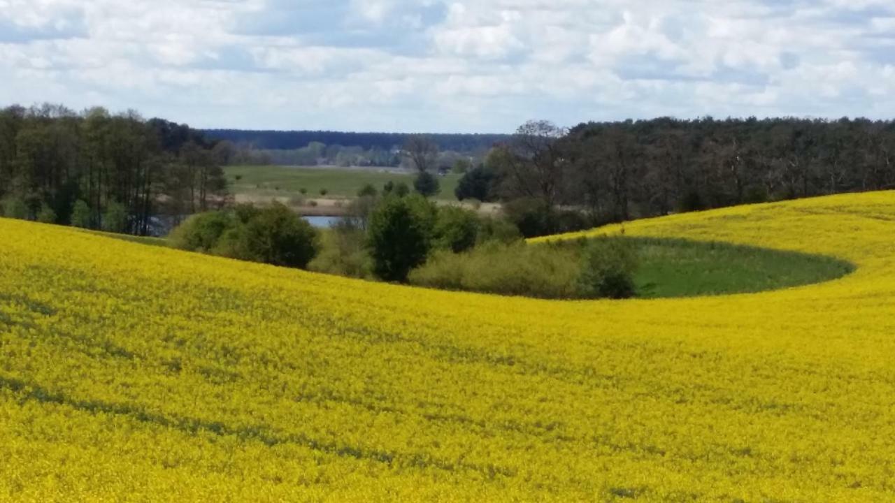 Ferienhaus Storchenweg Mahlzow エクステリア 写真